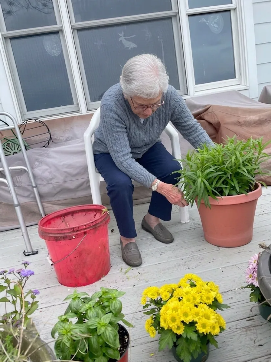 A client seated on her deck, trimming leaves and tending yellow mums and potted herbs