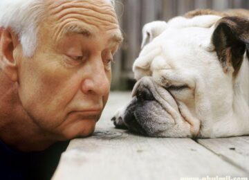ADOPTING A SENIOR PET FOR A SENIOR IN NEED