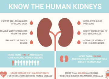 Kidney Health 101
