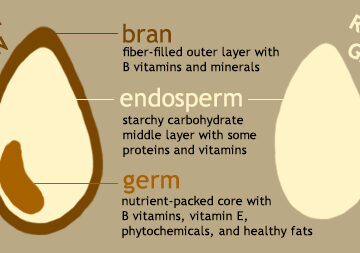 Whole Grains vs. Refined Grains: What You Really Need