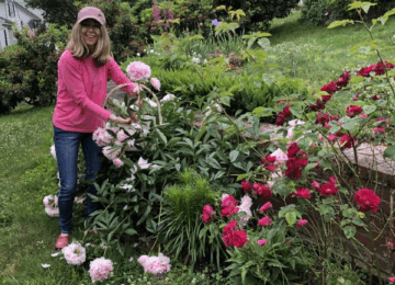 Gardening Contest