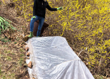 How Gardening Can Help Us Heal